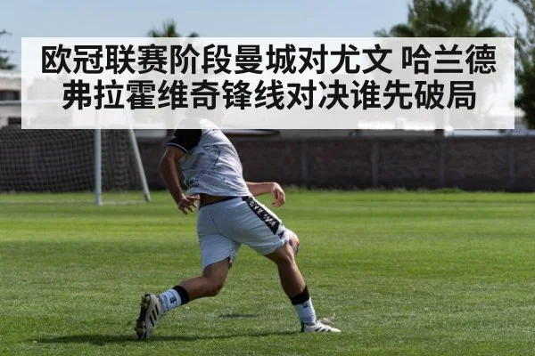 soccer striker shooting goal