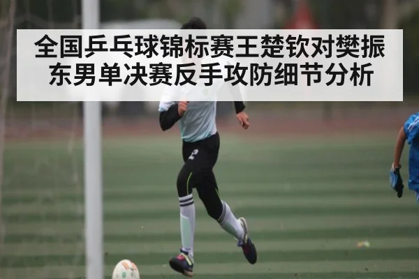 全国乒乓球锦标赛王楚钦对樊振东男单决赛反手攻防细节分析