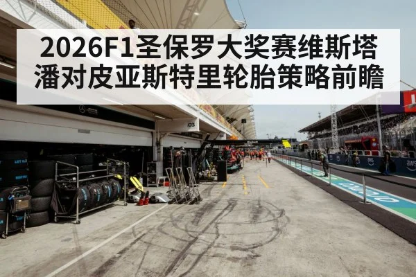 2026F1圣保罗大奖赛维斯塔潘对皮亚斯特里轮胎策略前瞻